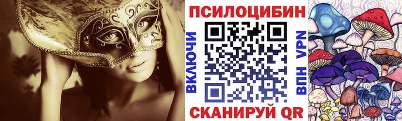 kraken   Черноголовка  Псилоцибиновые грибы ЛСД  где продают наркотики 
